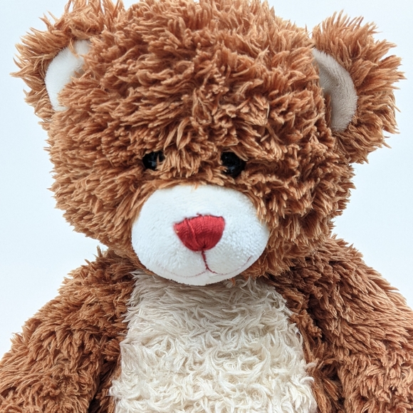 Build A Bear Disney's High School Musical BAB Brown Bear Red Nose Red Feet - Picture 14 of 14